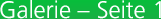 Galerie Webdesign Webentwicklung Gestaltung