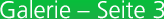 Galerie Webdesign Webentwicklung Gestaltung