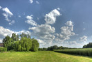 Feld