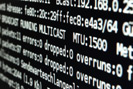 Linux EDV Netzwerk
