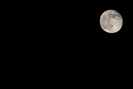 Mond