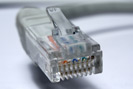 Netzwerkstecker
