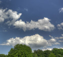 Wald Wolken
