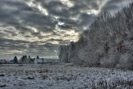 Feld Wiese Wald Winter Schnee