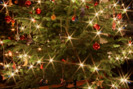 Weihnachtsbaum