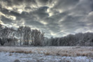 Wiese Wald Winter