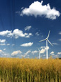Windrad Feld Strommast Energie
